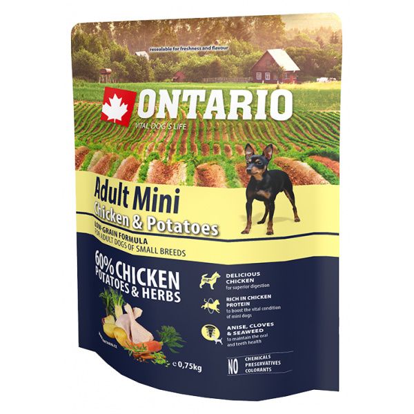 Ontario Adult Mini Chicken &