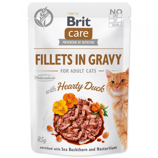 Kapsička Brit Care Cat Fillets