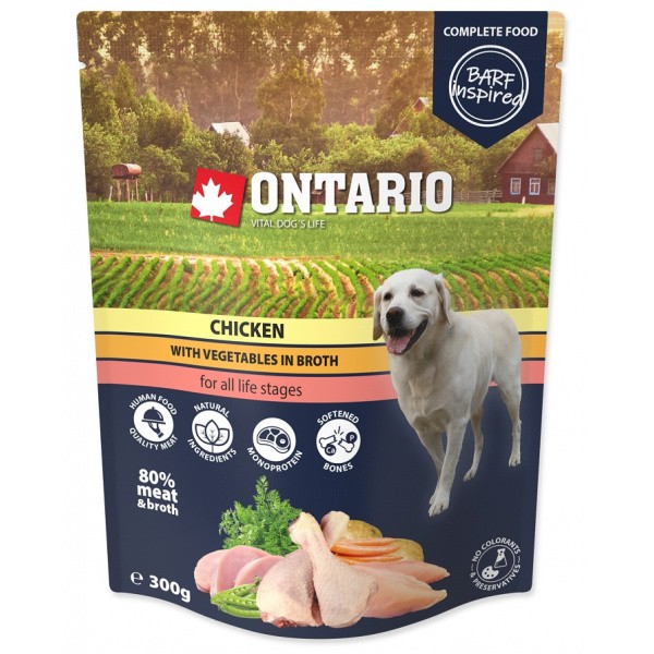 Kapsička Ontario kuřecí se zeleninou