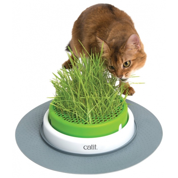 Miska na trávu pro kočky Catit Senses 2.0 Grass