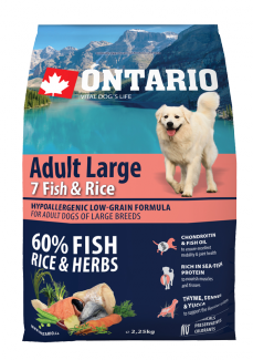 Ontario Adult Large Fish &