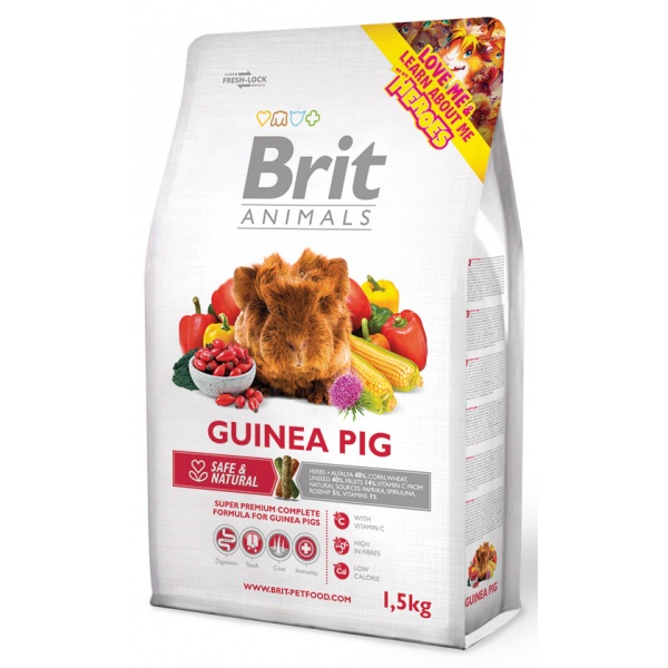 BRIT Animals GUINEA PIG