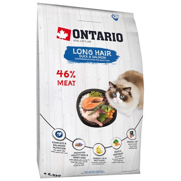 Ontario Cat Longhair 6