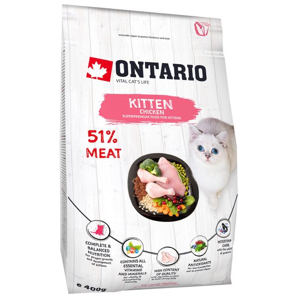 Ontario Kitten Chicken 0
