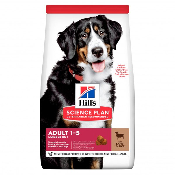 Hill´s Science Plan Canine Adult Large Breed