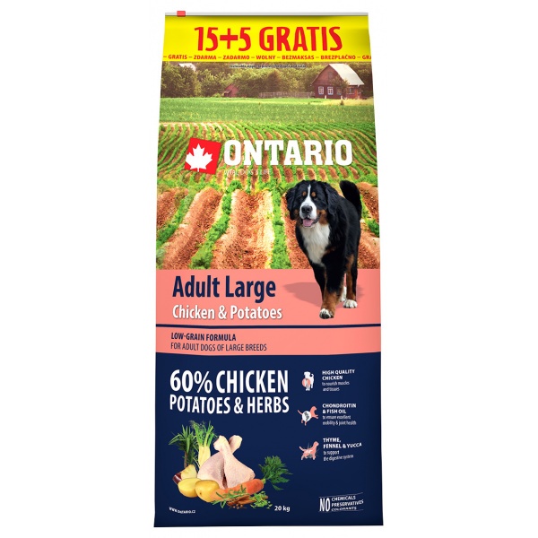 Ontario Adult Large Chicken