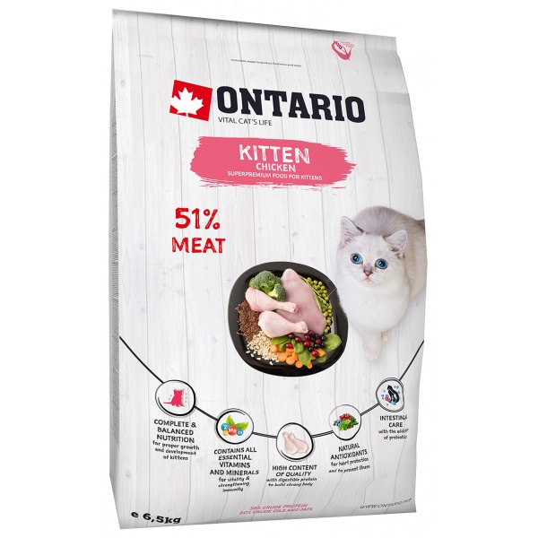 Ontario Kitten Chicken 6