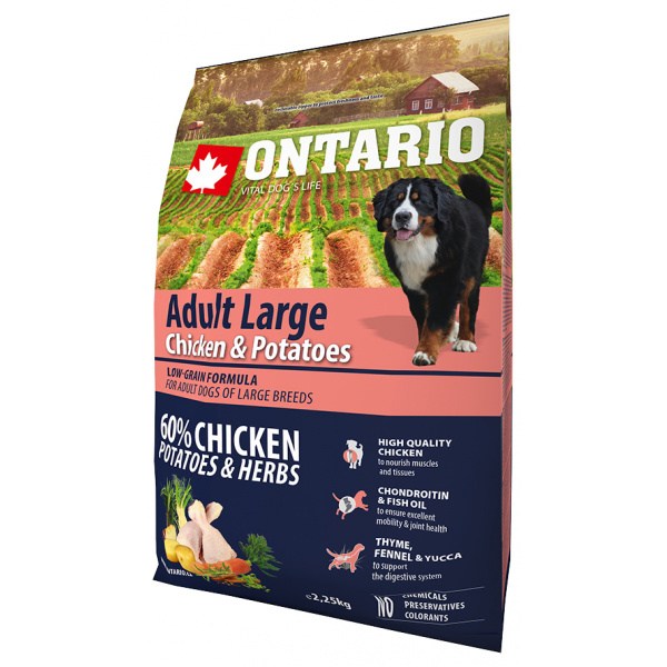 Ontario Adult Large Chicken &